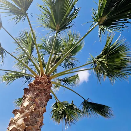 Villa Luxury With View And Garden Near *