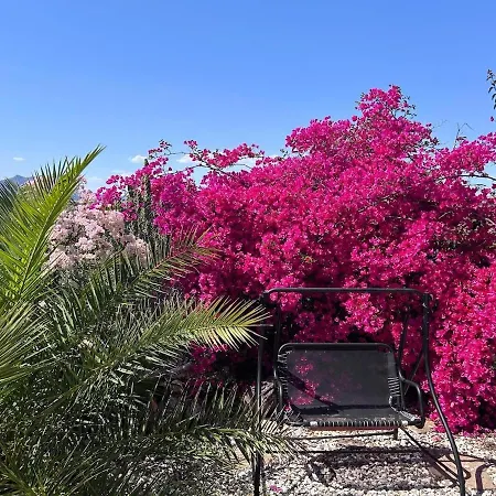 Luxury With View And Garden Near Villa