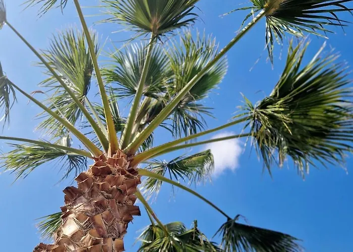 빌라 Luxury With View And Garden Near *