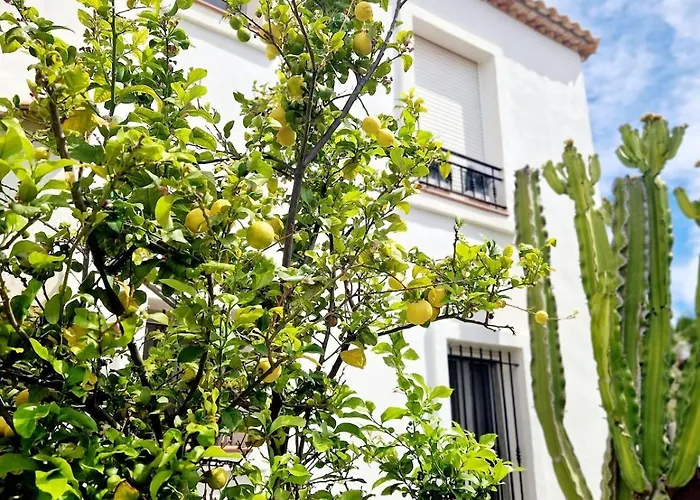 빌라 Luxury With View And Garden Near